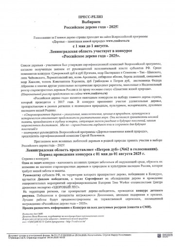 Выбираем "Российское дерево года - 2025"